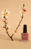 Karolin Van Loon Nagellak