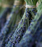 Onno Haute Parfumerie One & Only - 100ml