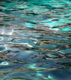 Onno Haute Parfumerie X55 - 100ml